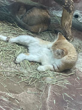 那須どうぶつ王国に投稿された画像（2024/9/21）