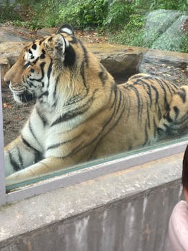 那須どうぶつ王国に投稿された画像（2024/9/21）