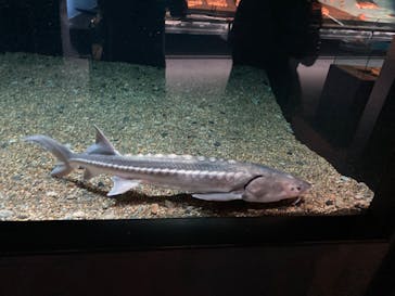 環境水族館アクアマリンふくしまに投稿された画像（2024/9/21）