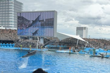 名古屋港水族館に投稿された画像（2024/9/21）