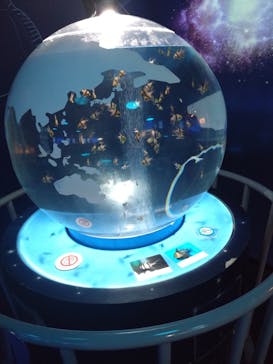 しながわ水族館に投稿された画像（2024/9/21）