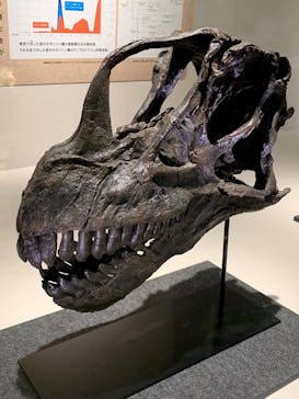 福井県立恐竜博物館に投稿された画像（2024/9/21）