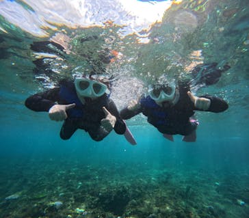 沖縄マリンサービス碧に投稿された画像（2024/9/21）