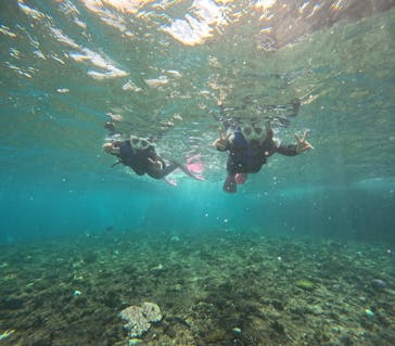 沖縄マリンサービス碧に投稿された画像（2024/9/21）