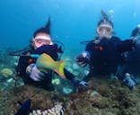 ダイブロックに投稿された画像（2024/9/21）