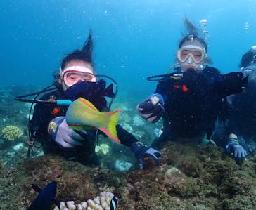 ダイブロックに投稿された画像（2024/9/21）