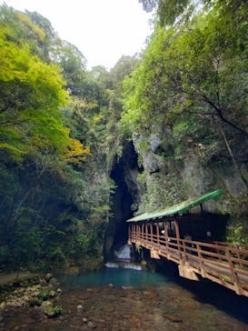 秋芳洞に投稿された画像（2024/9/21）