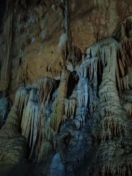 秋芳洞に投稿された画像（2024/9/21）