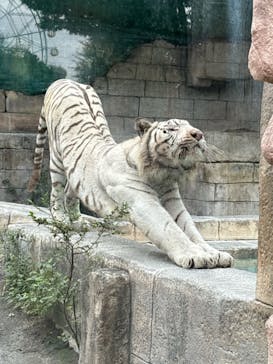 東武動物公園に投稿された画像（2024/9/21）