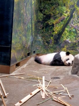 恩賜上野動物園に投稿された画像（2024/9/21）