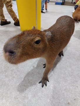 アニタッチ 東京ドームシティに投稿された画像（2024/9/21）