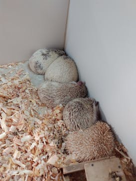 アニタッチ 東京ドームシティに投稿された画像（2024/9/21）