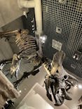 国立科学博物館に投稿された画像（2024/9/21）