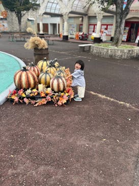 姫路セントラルパークに投稿された画像（2024/9/21）