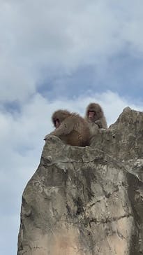 恩賜上野動物園に投稿された画像（2024/9/21）