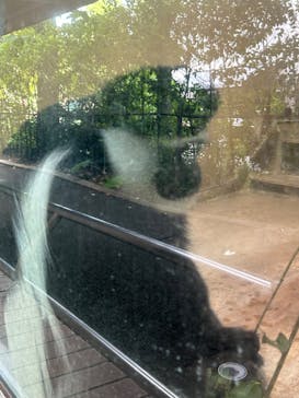 恩賜上野動物園に投稿された画像（2024/9/21）