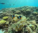 武藤潜水に投稿された画像（2024/9/21）