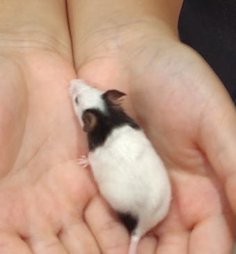 アニタッチららぽーと名古屋みなとアクルスに投稿された画像（2024/9/21）