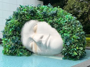 彫刻の森美術館に投稿された画像（2024/9/21）