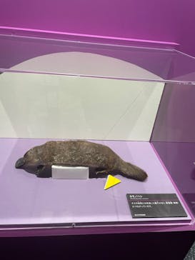 特別展　毒に投稿された画像（2024/9/21）