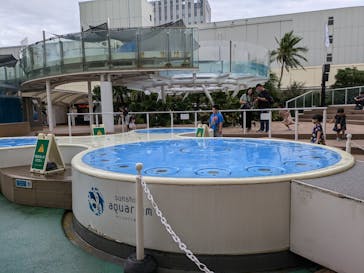 サンシャイン水族館に投稿された画像（2024/9/21）