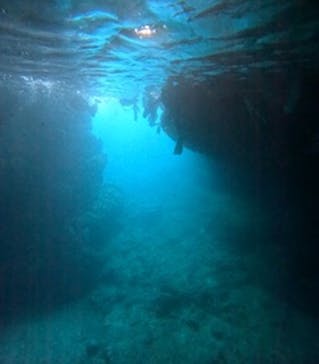 沖縄マリンサービス碧に投稿された画像（2024/9/21）