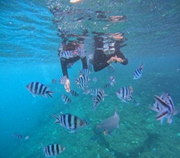 沖縄マリンサービス碧に投稿された画像（2024/9/21）