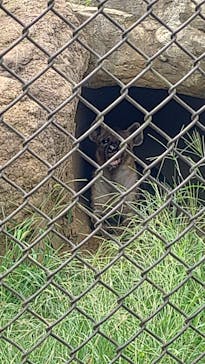 千葉市動物公園に投稿された画像（2024/9/21）