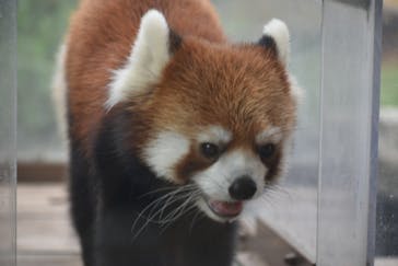 横浜・八景島シーパラダイスに投稿された画像（2024/9/21）