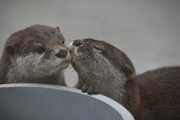 横浜・八景島シーパラダイスに投稿された画像（2024/9/21）