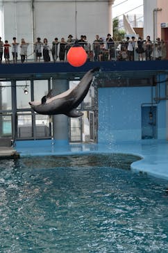 横浜・八景島シーパラダイスに投稿された画像（2024/9/21）
