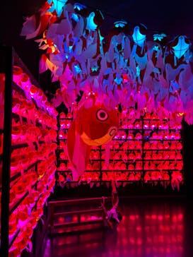 NARA IKIMONO MUSEUMに投稿された画像（2024/9/21）