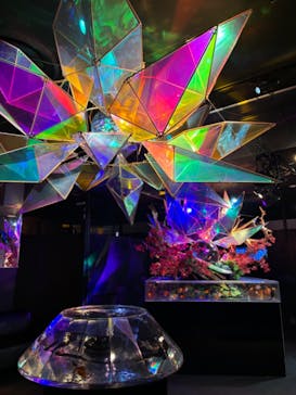 NARA IKIMONO MUSEUMに投稿された画像（2024/9/21）