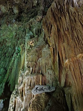 あぶくま洞に投稿された画像（2024/9/21）