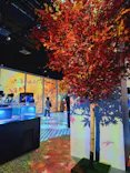 マクセル アクアパーク品川に投稿された画像（2024/9/21）