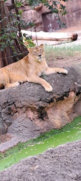 天王寺動物園に投稿された画像（2024/9/21）