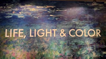 モネ＆フレンズ・アライブに投稿された画像（2024/9/21）