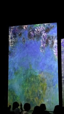 モネ＆フレンズ・アライブに投稿された画像（2024/9/21）