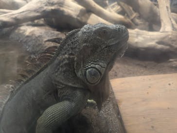 カワスイ 川崎⽔族館に投稿された画像（2024/9/21）