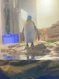 マクセル アクアパーク品川に投稿された画像（2024/9/21）