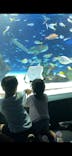 サンシャイン水族館に投稿された画像（2024/9/21）