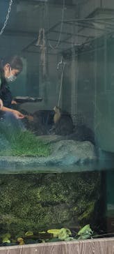 サンシャイン水族館に投稿された画像（2024/9/21）