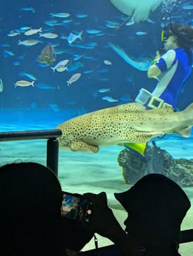 サンシャイン水族館に投稿された画像（2024/9/21）