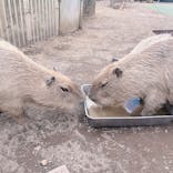 伊豆シャボテン動物公園に投稿された画像（2024/9/21）