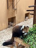 静岡市立日本平動物園に投稿された画像（2024/9/21）
