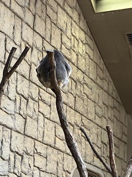 名古屋市東山動植物園に投稿された画像（2024/9/21）