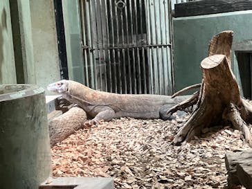 名古屋市東山動植物園に投稿された画像（2024/9/21）