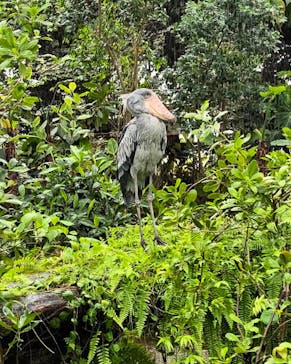 神戸どうぶつ王国に投稿された画像（2024/9/21）