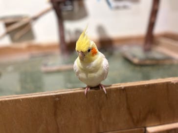 Moff animal cafe イオンモール新利府店に投稿された画像（2024/9/21）