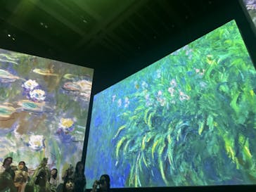 モネ＆フレンズ・アライブに投稿された画像（2024/9/21）